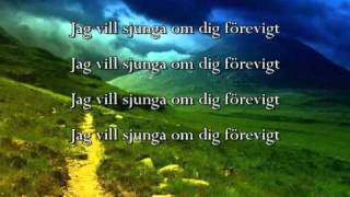 Jag vill sjunga om dig förevigt  Jeanette Alfredsson amp Frank Ådahl lyrics [upl. by Nodnas133]