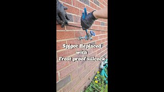 Spigot replaced with Frost Proof Sillcock [upl. by Nylitsirk632]