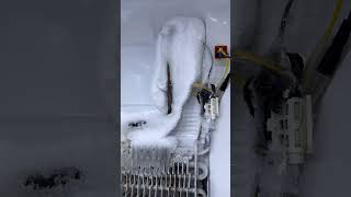 Noisy Samsung refrigerator easy fix It’s ice build up around the fan diy appliancerepair [upl. by Barron103]