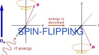 Spin flipping Larmor precession gyromagnetic ratio Boltzman distribution in NMR MajidAli2020 [upl. by Nissy]