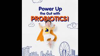 Bifidobacterium lactis  Helps maintain a Healthy Digestive System  40s [upl. by Rodge]