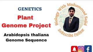 Plant Genome Project Arabidopsis thaliana genome sequence [upl. by Cheney959]