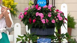 Phillip Watson Designs Single Whiskey Barrel Planter on QVC [upl. by Nednyl]