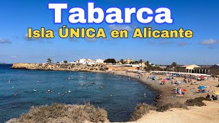 Isla de TABARCA 🏖️ Paraíso SIN coches en España 🇪🇸 [upl. by Naols]