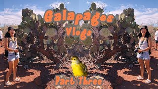 GALAPAGOS VLOGS  Part 3  Bachas Bay Santa Cruz North Seymour  San Cristobal Island [upl. by Alyakam]