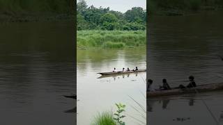 The Dugout Canoe Man’s First Boat 7500 BCE shorts [upl. by Kemppe]