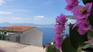 The blooming coast of the Makarska Riviera [upl. by Enomes]