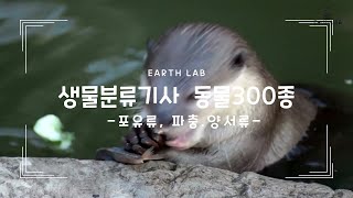 생물분류기사 동물300종 3편  포유류 양서 파충류 [upl. by Resiak]