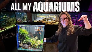 FULL Fish Room Tour  2023  700 gallons amp over 500 fish [upl. by Jemina123]