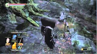 Dark Souls 3  Item Farming Pale Tongue and Wolf Blood Swordgrass [upl. by Kenwood823]