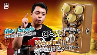 Caline  508 Wonderland  Reverb ดีๆ [upl. by Leong257]