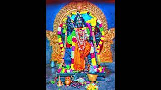 Mecheri Bhadrakaliyamman Today Alangram mecheri narasimma mecheribhadrakaliyamman mecheriamman [upl. by Yrgoerg]