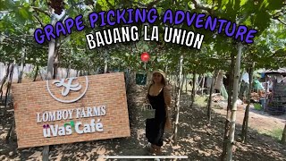 Lomboy Farms  Bauang La Union  Grape Picking Adventure [upl. by Lovett]