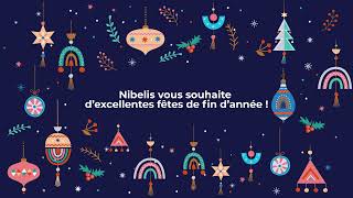 Nibelis vous souhaite de belles fêtes de fin dannée [upl. by Minna]