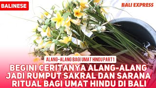 Cerita Alangalang Jadi Rumput Sakral dan Sarana Ritual bagi Umat Hindu di Bali [upl. by Niliram]