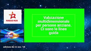 21 nov 24 Gr Pensionati nel mondo SpiCgilsciopero Linee guida Md Legge 33 [upl. by Aynekal]