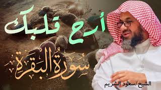 سورة البقرة كاملة فضيلة الشيخ سعود الشريم surah baqarah saud shuraim AlBaqarah سعود الشريم [upl. by Aissatan86]