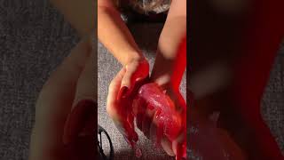 Slime Lovers Rejoice ASMR Jelly Slime is Here 🧡 [upl. by Alfonse880]