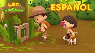 La Cacatúa Sulfúrea Español  Leo El Explorador Episodio  Animación  Familia  Niños [upl. by Bohon536]