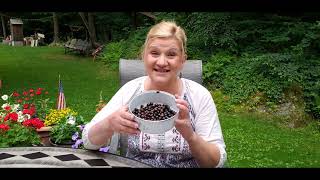 BLACKCURRANT Health Benefits [upl. by Pirri]