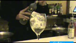 Cómo preparar un gin tonic perfecto para gourmets [upl. by Suitangi]