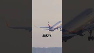 Why are airplane toilets so loud 🛫📢AviationFactsquotviralvideo flight aviation youtubeshortnew [upl. by Lorre391]