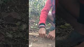 Bandhne ka Sahi tarika bushcraft farming outdoorsurvival [upl. by Ainatnas]