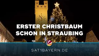 Christbaum im Oktober Darum steht in Straubing schon der Tannenbaum [upl. by Resor]