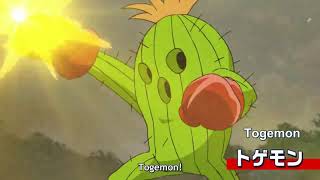 Palmon evolui para Togemon [upl. by Enehs]