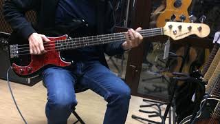 Selder Precision Bass sound [upl. by Abagail]