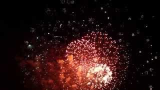 Fireworks with Sound Effects [upl. by Forkey]