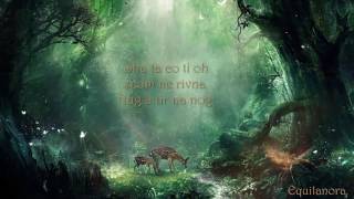 Celtic Woman ft Oonagh  Tir Na Nog Lyrics [upl. by Camella]