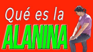 La Alanina ¿Qué tipo de aminoácido es [upl. by Anwahsed]