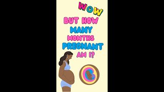 How many months pregnant am I [upl. by Anilecram]