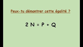 Discussions et réflexions autour dune conjecture très profonde Ne faites pas ça chez vous [upl. by Dream]