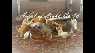 Angel of Light  Episode 13 Christmas Special [upl. by Yllus841]