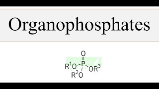 Organophosphate pesticides [upl. by Htinnek]