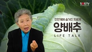 양배추 천연계에 숨겨진 치료제 라이프 토크 76회  여병주 의사 [upl. by Enyawad]