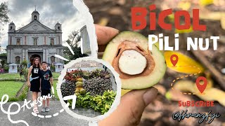 A Few Days Vacation at Bicol  Our Delicacy Pili Nut In Our Province [upl. by Paulie]