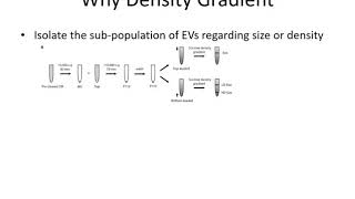 Density Gradient  Basics of Extracellular Vesicles [upl. by Farron]