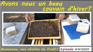 Le couvain dhiver estil beau Apiculture Apiculteur Buckfast Abeilles Reine Essaim [upl. by Enihpad864]