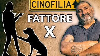 Il Fattore X nel cane Qual è la persona che LUI ha scelto [upl. by Edi]