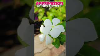 What is the Aestivation of this flower myaimpratikshayadav biology neet [upl. by Ogden]