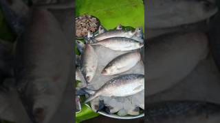 Ilish Mach Kolkata❤️ hero block video bangla train vlog [upl. by Llarret]