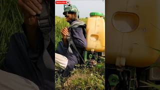 Professional worker spraying crops in hot WeatherCropSpraying FarmingTips AgricultureTechnology [upl. by Rambow]