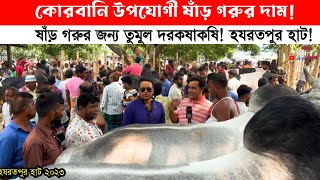 ২ লাখ ৫০ হাজার কিন্তু হলো না কেরানীগঞ্জের হযরতপুর হাটে গরু বেচাকেনার চিত্র cow price [upl. by Gurias905]