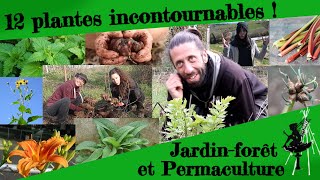 12 plantes incontournables au jardinforêt en Permaculture   Guest [upl. by Findlay]