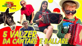 5 VALZER DA CANTARE E BALLARE  ROCCO FORTUNATO E GLI AMICI DELLORGANETTO [upl. by Rod508]