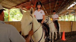 Proceso de Equinoterapia con Niños  TvAgro por Juan Gonzalo Angel [upl. by Aivax]