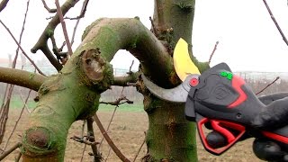 FR  ELECTROCOUP F3015 INFACO  PW2 en Arboriculture  INFACO [upl. by Uhayile]